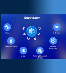 S-group ecosystem